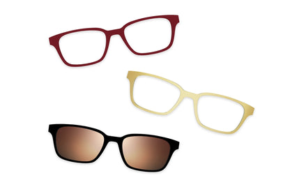 Tortoise - Set