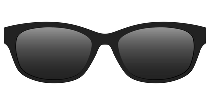 The Polarized Black Sun Top