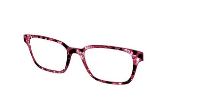 The Raspberry Pearl Tortoise