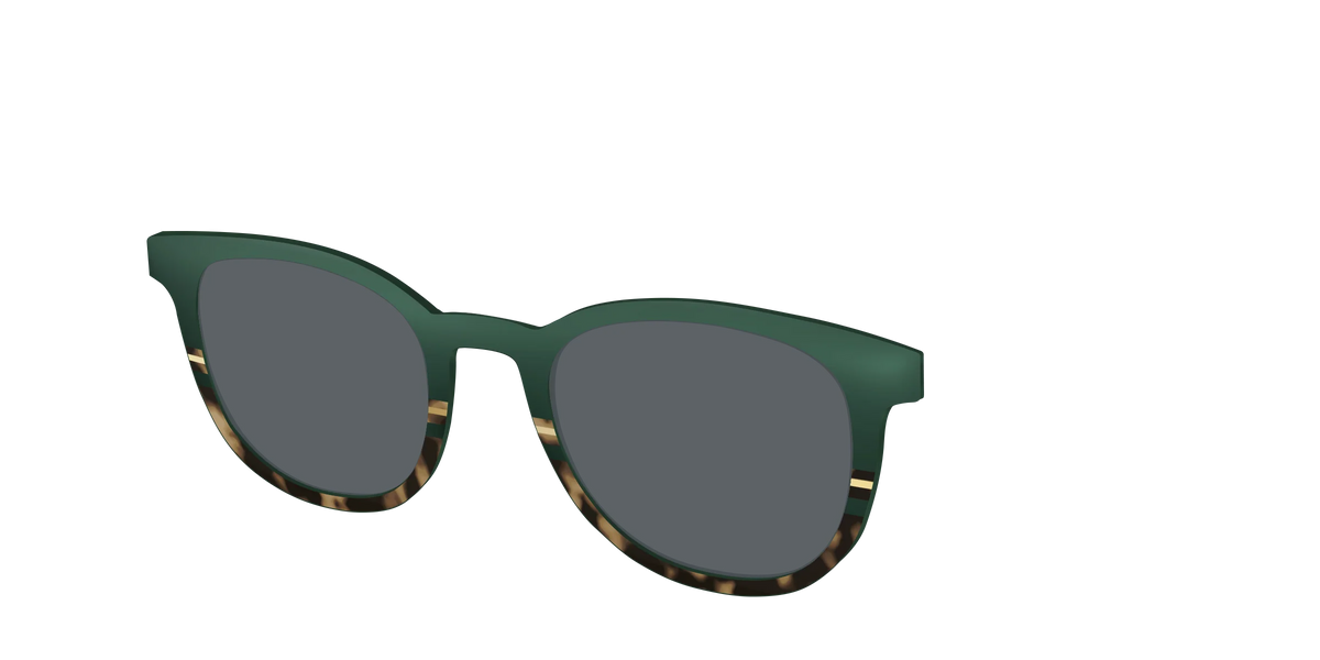 The Polarized Spruce Tortoise Sun Top