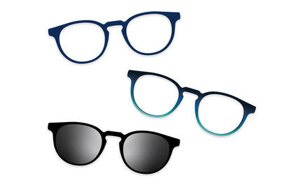 Blue Tortoise - Set