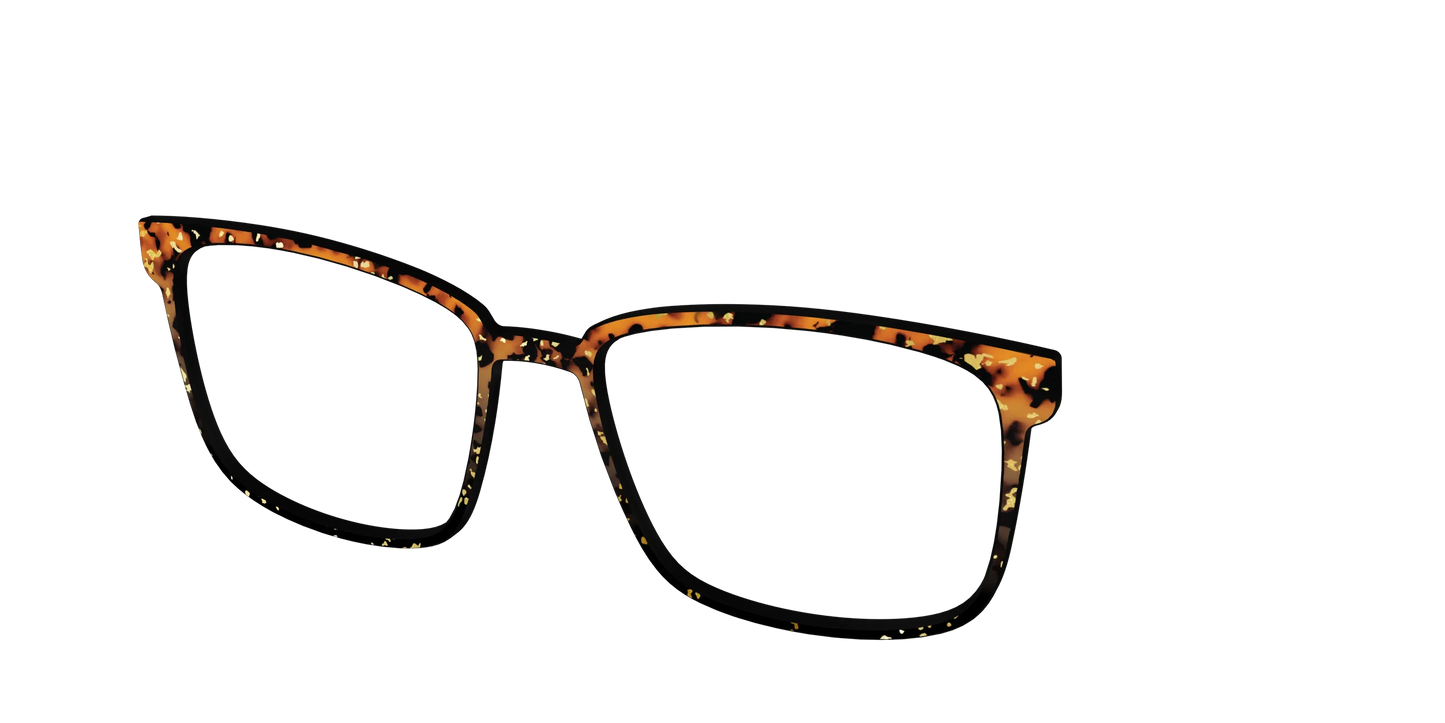The Rustic Gold Leaf Tortoise