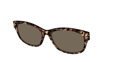 The Polarized Sienna Tortoise Sun Top