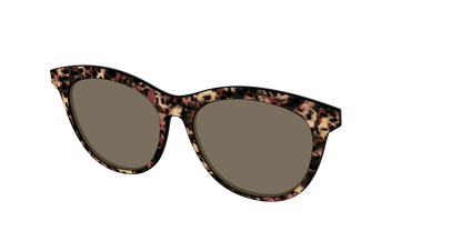 The Polarized Sienna Tortoise Sun Top