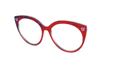 The Nationals Home Run