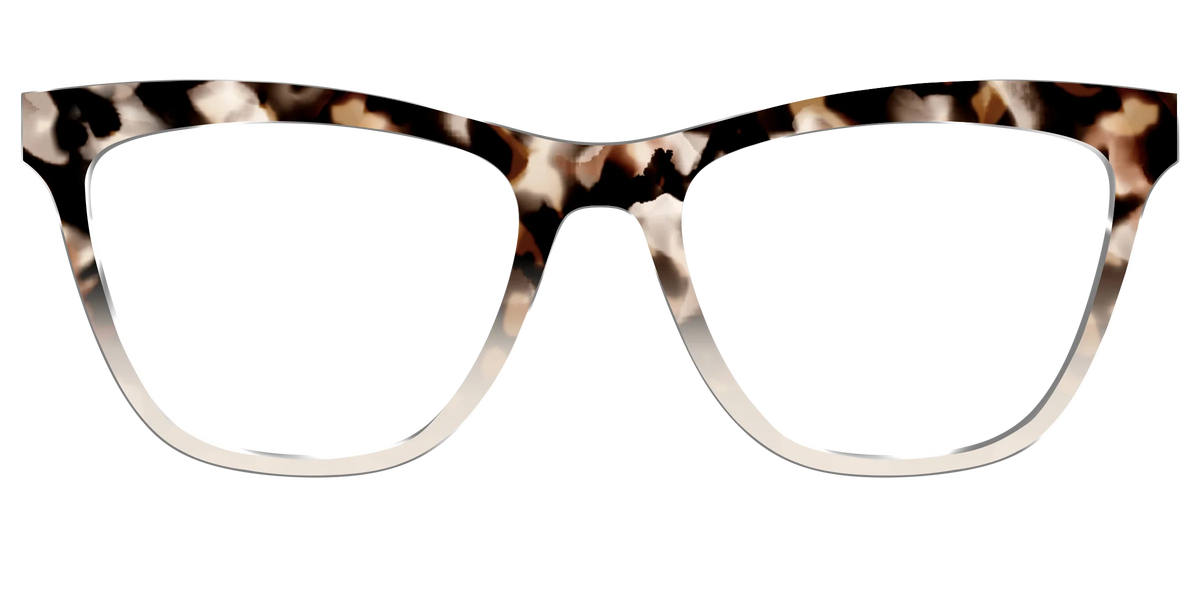 The Vanilla Latte Tortoise