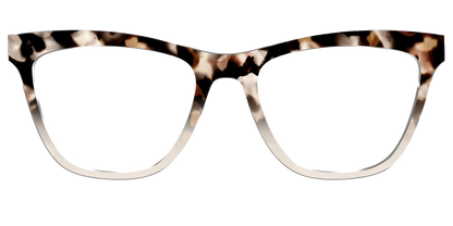 The Vanilla Latte Tortoise