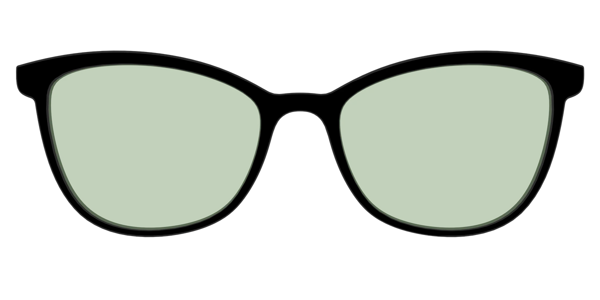 The Black With Sage Green Lens