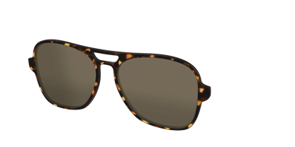 The Polarized Tortoise Sun Top
