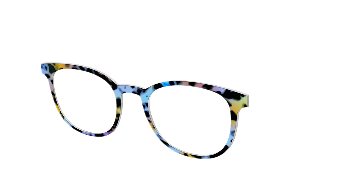 The Positano Tortoise