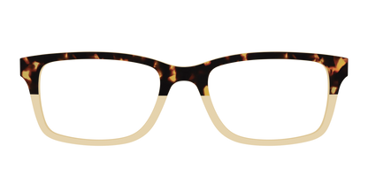 The Amber Tortoise Crystal Split