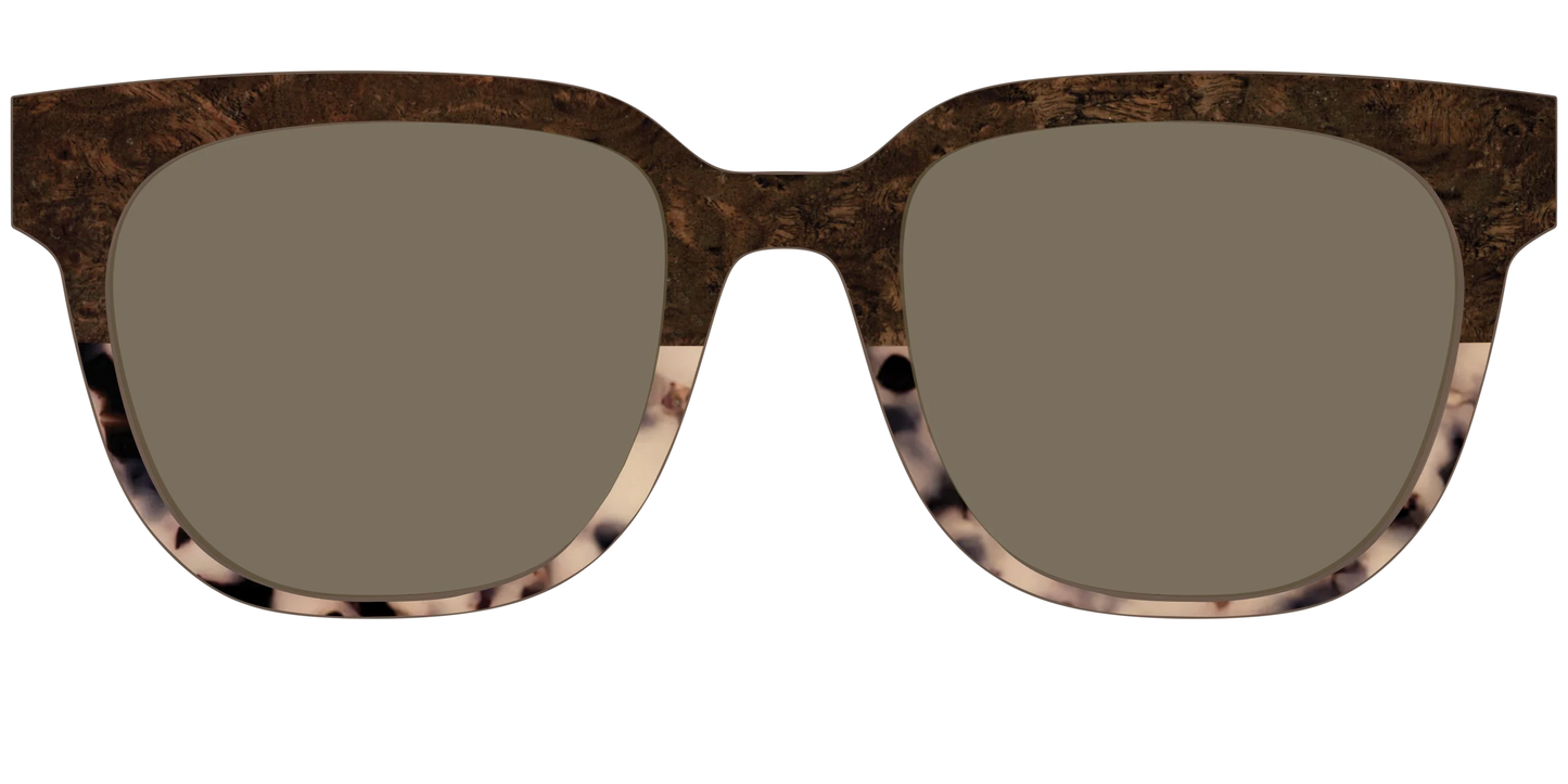 The Polarized Dark Oak Tortoise Split Sun Top