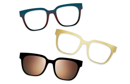 Tortoise Acetate Gold Metal - Set