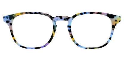 The Positano Tortoise