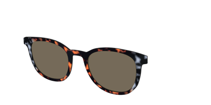 The Polarized Gray & Amber Tortoise Sun Top