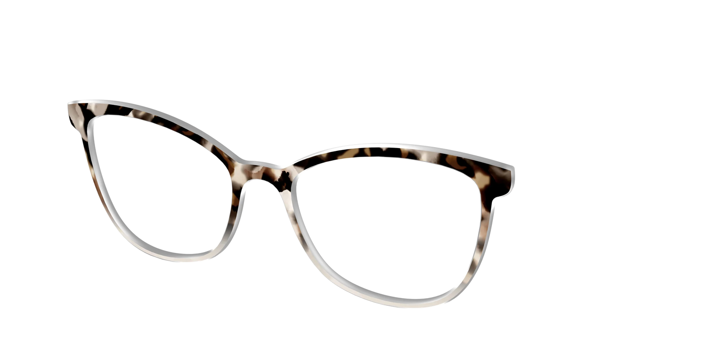 The Vanilla Latte Tortoise