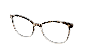 The Vanilla Latte Tortoise