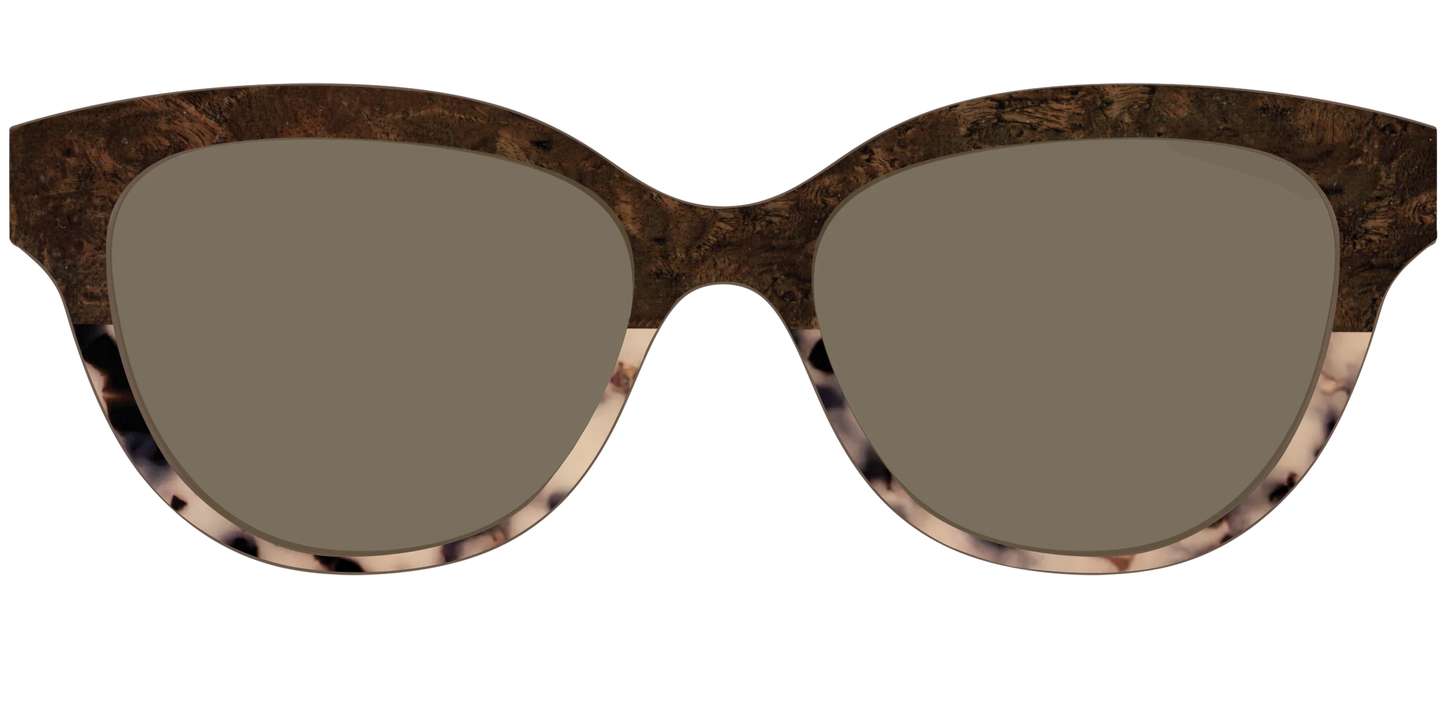The Polarized Dark Oak Tortoise Split Sun Top