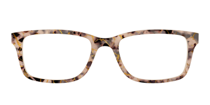 The Almond Tortoise with Gold Streaks