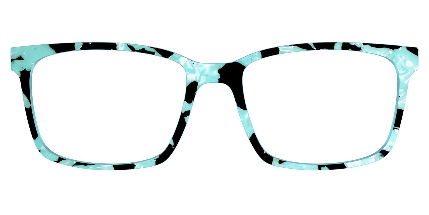 The Robin's Egg Pearl Tortoise