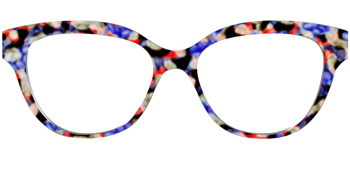 The Tempo Tortoise