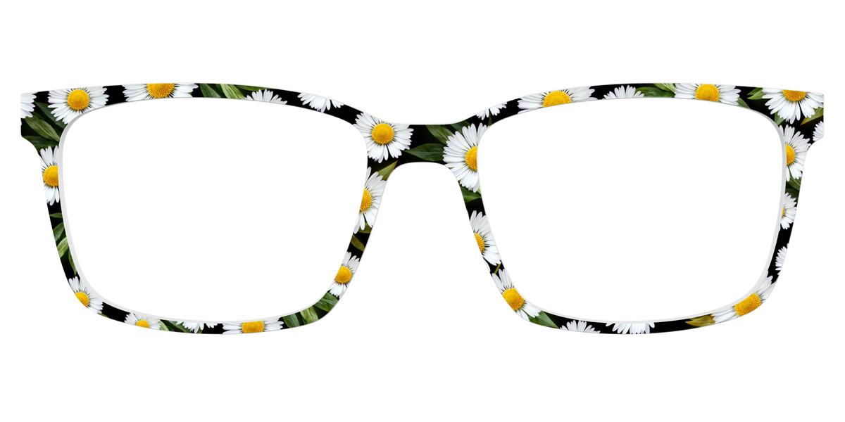 The Delicate Daisies