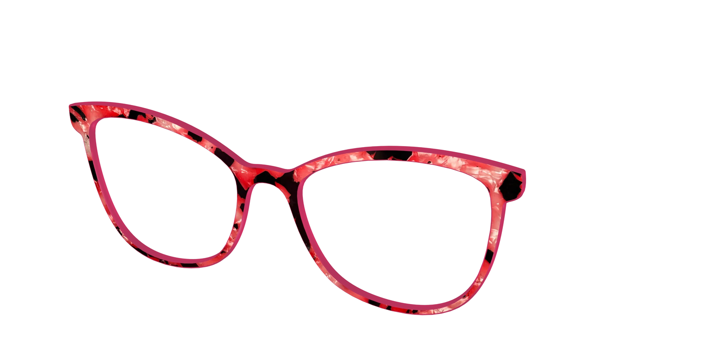 The Red Agate Pearl Tortoise