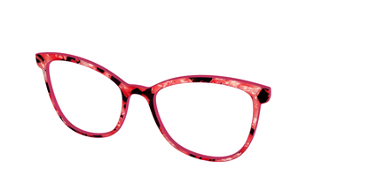 The Red Agate Pearl Tortoise