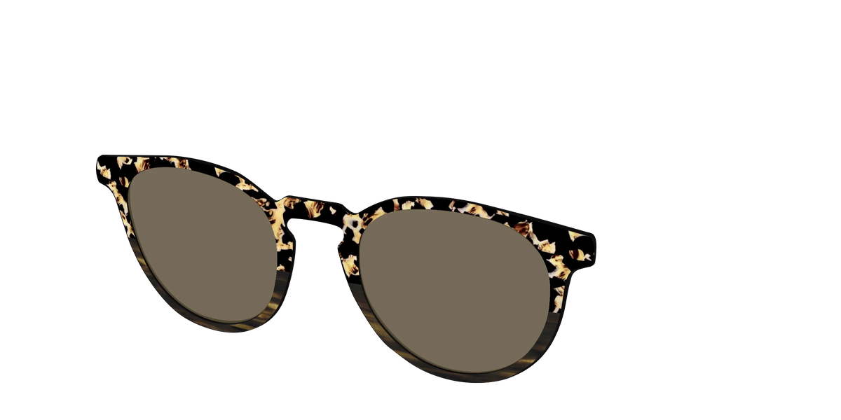 The Polarized Caramel Tortoise Horn Split Sun Top
