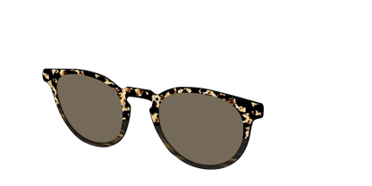 The Polarized Caramel Tortoise Horn Split Sun Top