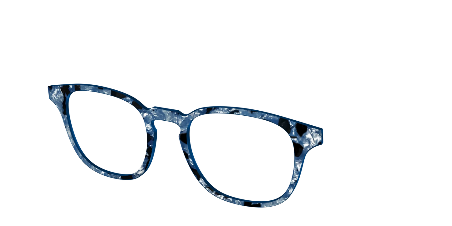 The Midnight Blue Pearl Tortoise