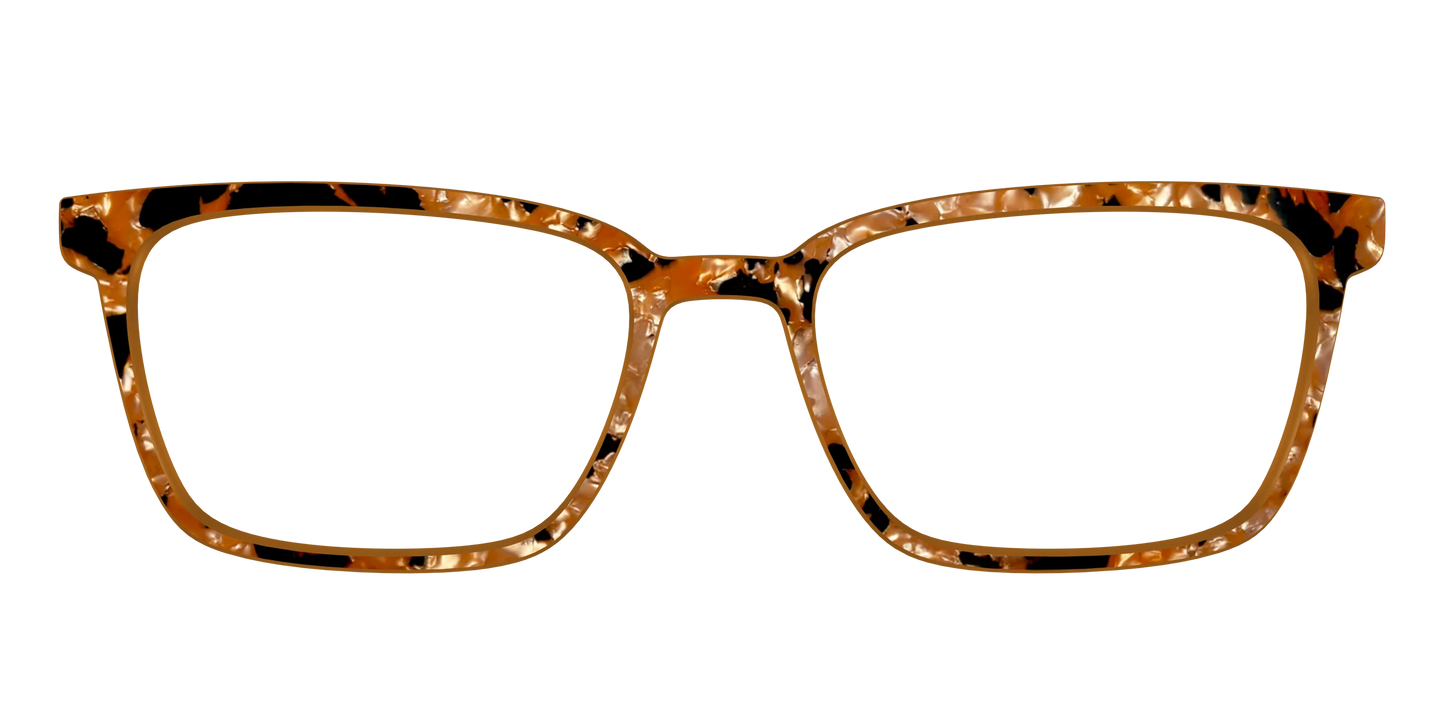 The Caramel Pearl Tortoise