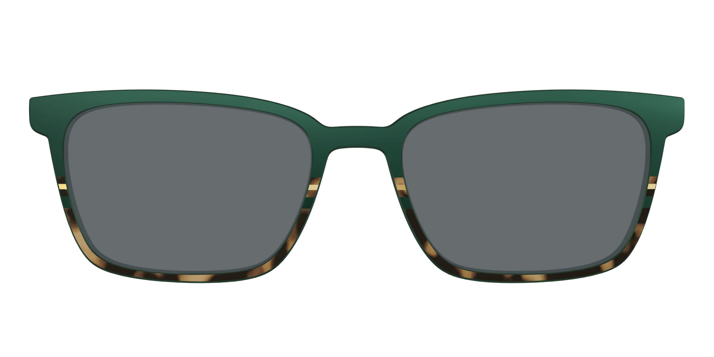 The Polarized Spruce Tortoise Sun Top