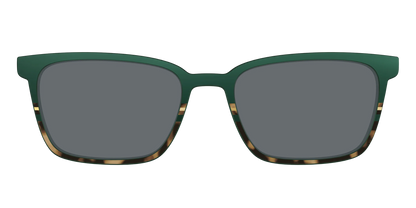 The Polarized Spruce Tortoise Sun Top