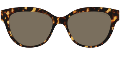 The Non-Polarized Tortoise Sun Top