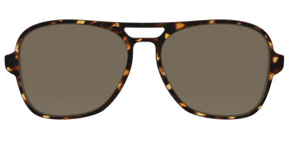 The Polarized Tortoise Sun Top