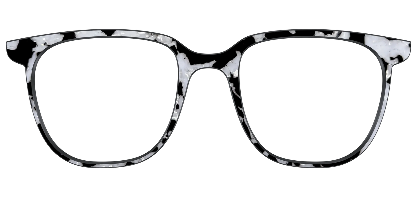 The Black & White Pearl Tortoise