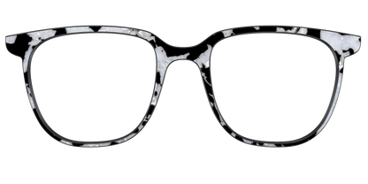 The Black & White Pearl Tortoise