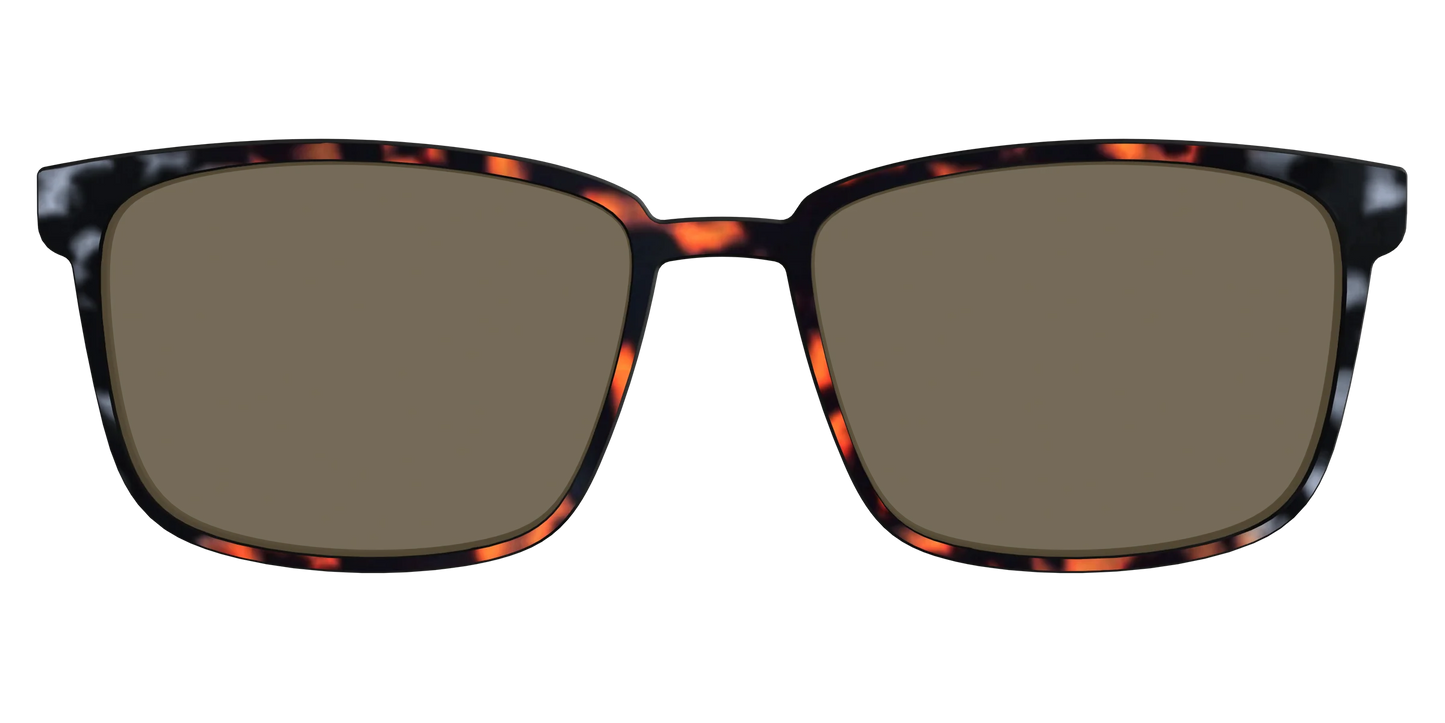 The Polarized Gray & Amber Tortoise Sun Top