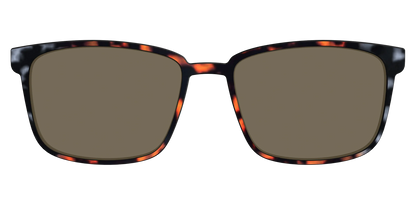 The Polarized Gray & Amber Tortoise Sun Top