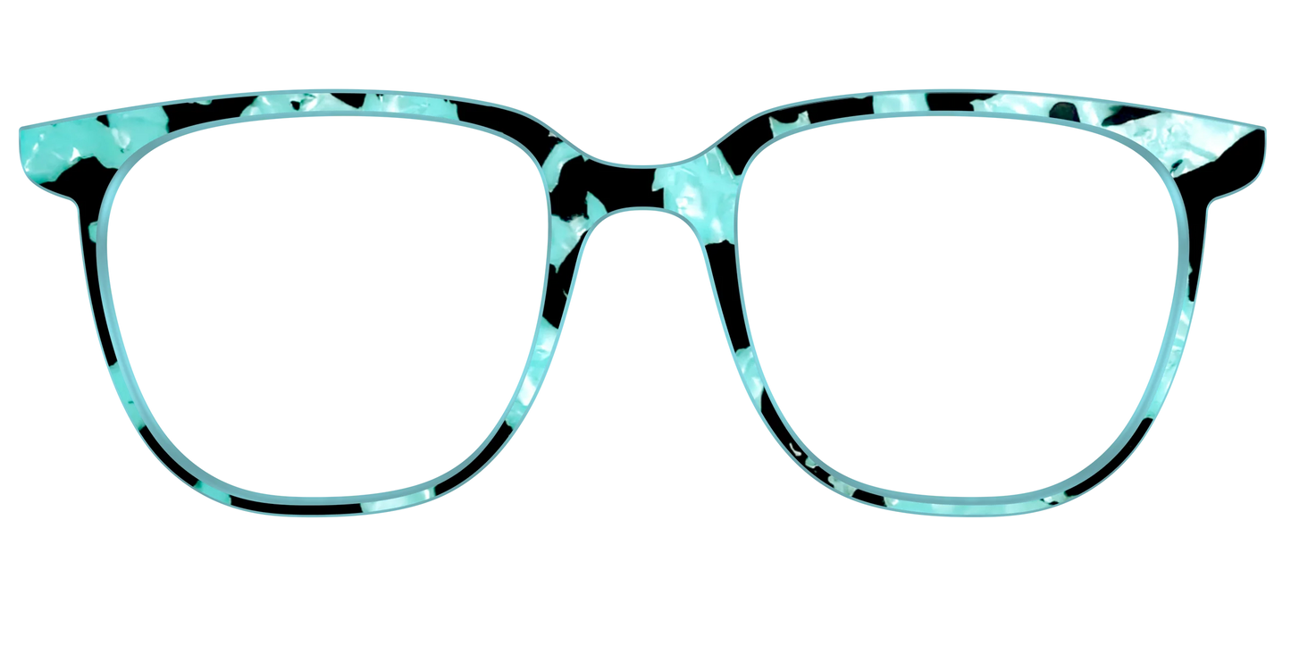 The Robin's Egg Pearl Tortoise