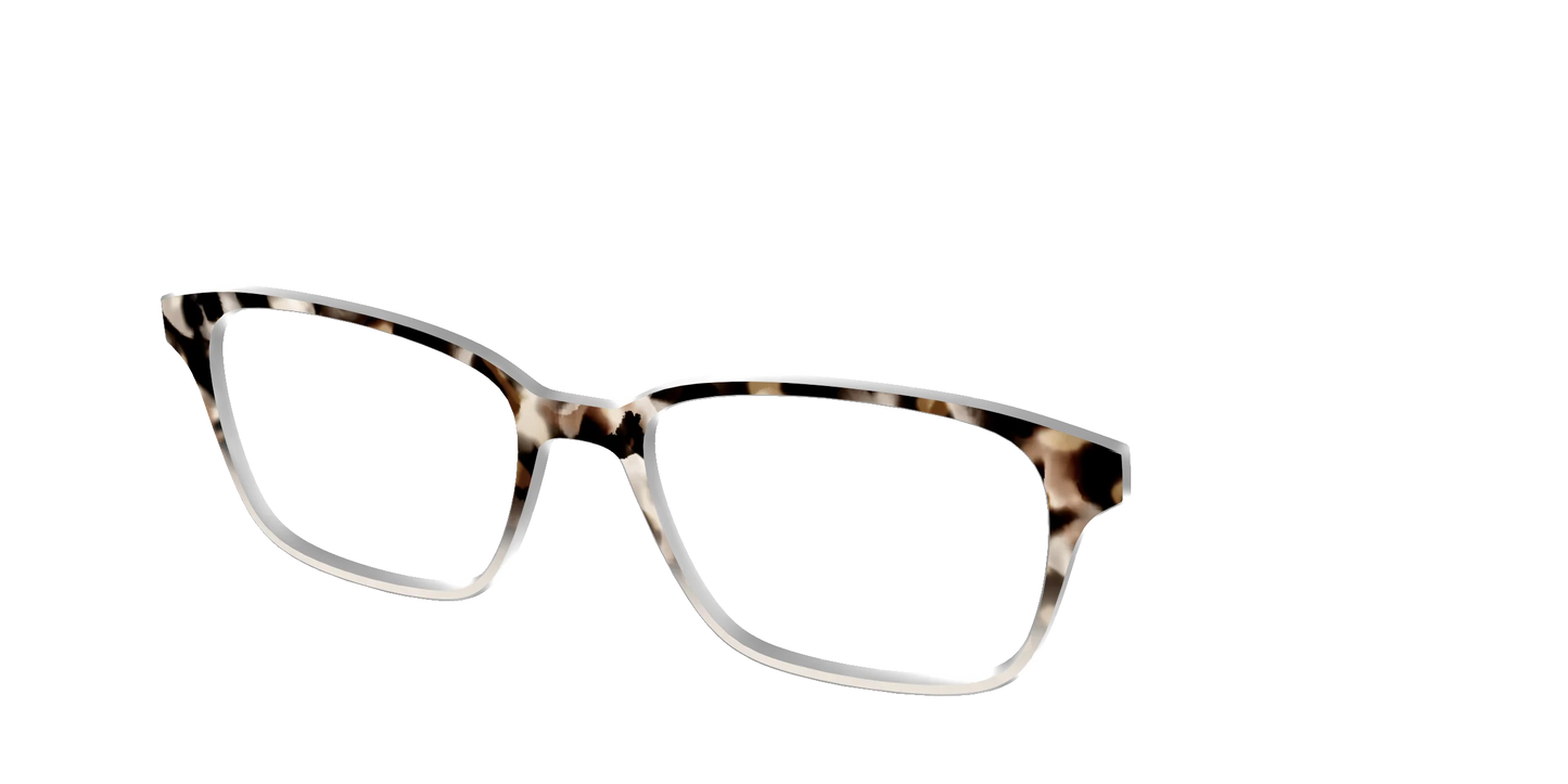 The Vanilla Latte Tortoise