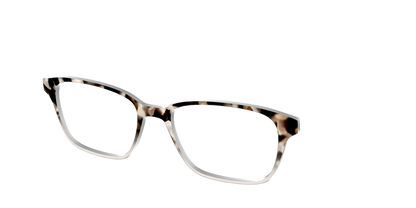The Vanilla Latte Tortoise