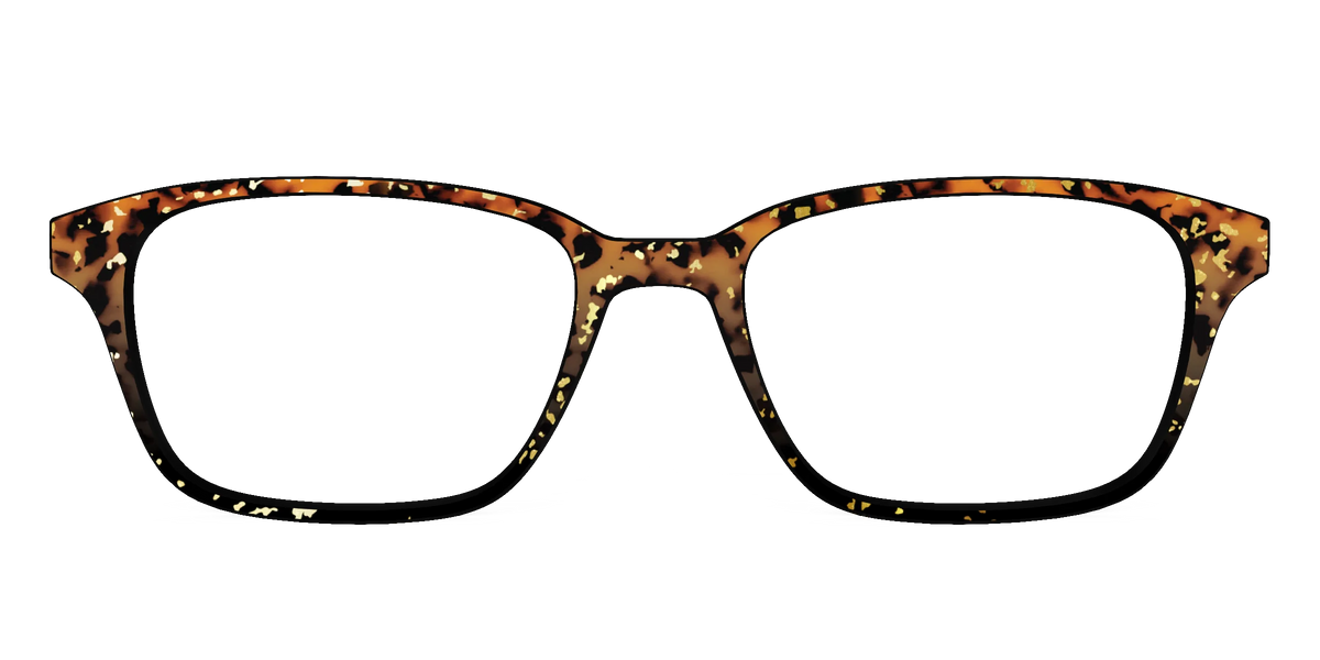 The Rustic Gold Leaf Tortoise