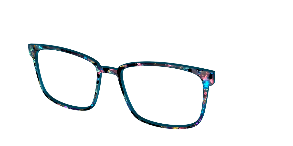 The Black Prismatic Pearl Tortoise