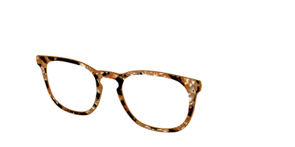 The Caramel Pearl Tortoise