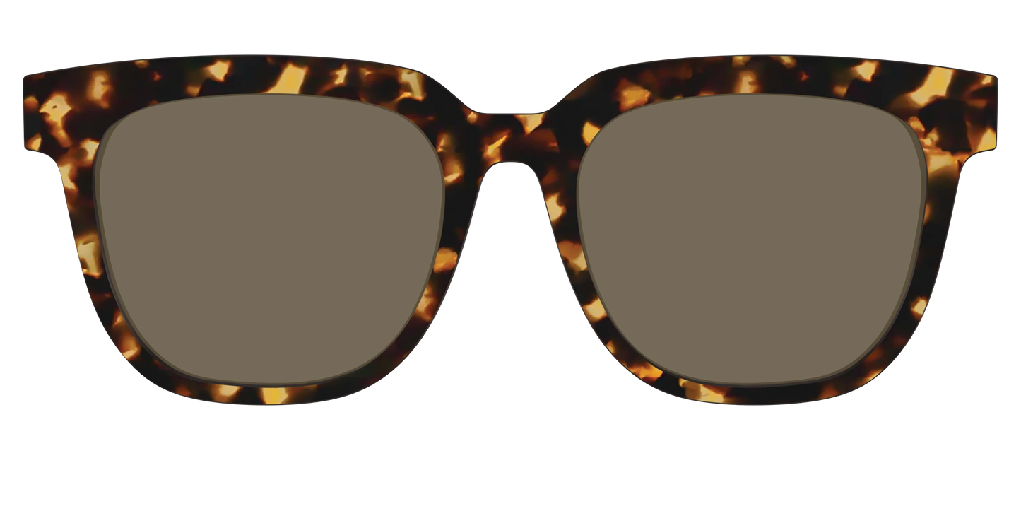 The Non-Polarized Tortoise Sun Top