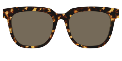 The Non-Polarized Tortoise Sun Top