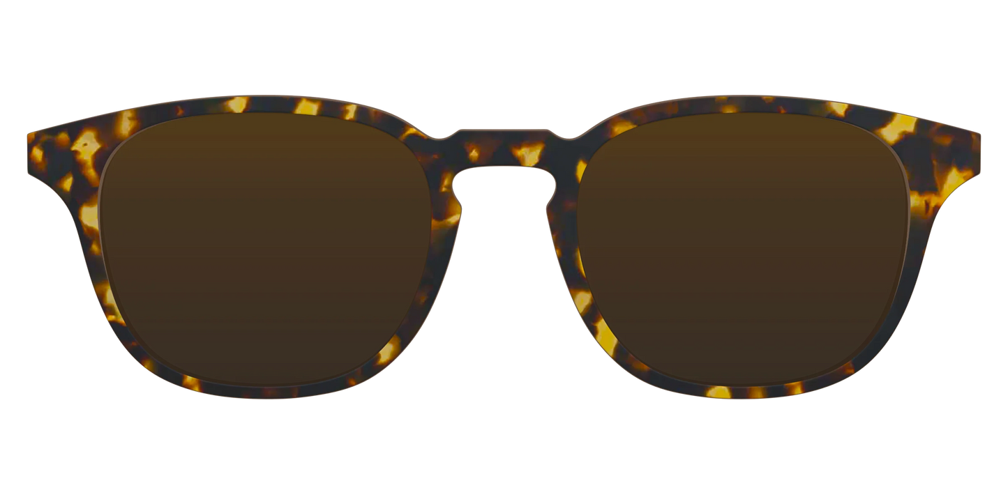The Polarized Tortoise Sun Top