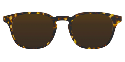 The Polarized Tortoise Sun Top